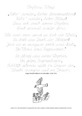 Vögleins-Klage-Fallersleben-LA.pdf